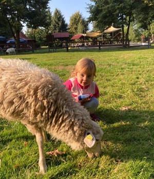 Streichelgehege in Thräna